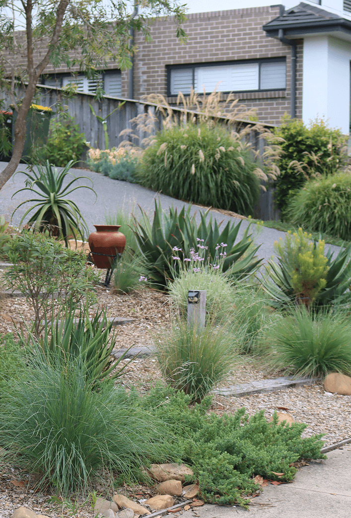 Established garden with variety of plants